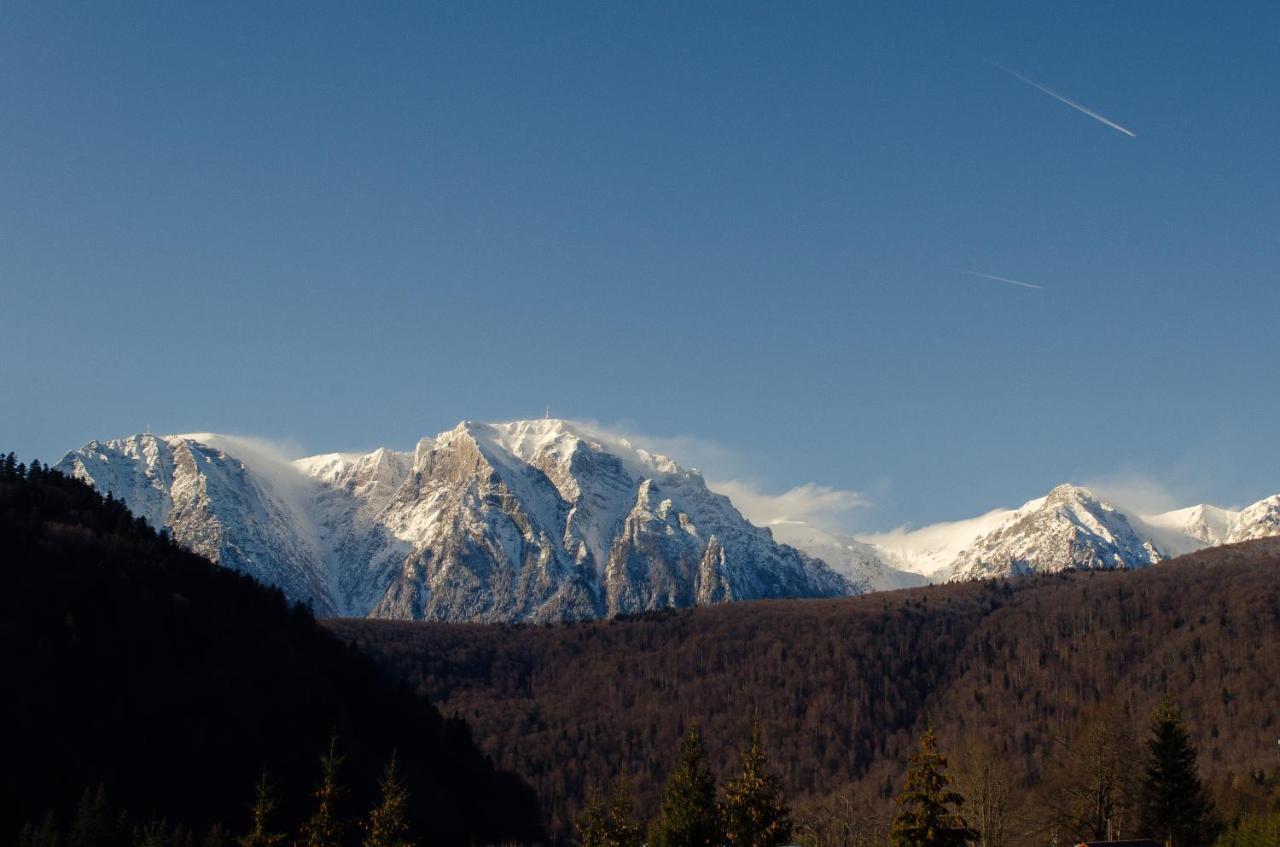 Skyline Villa Azuga Kültér fotó