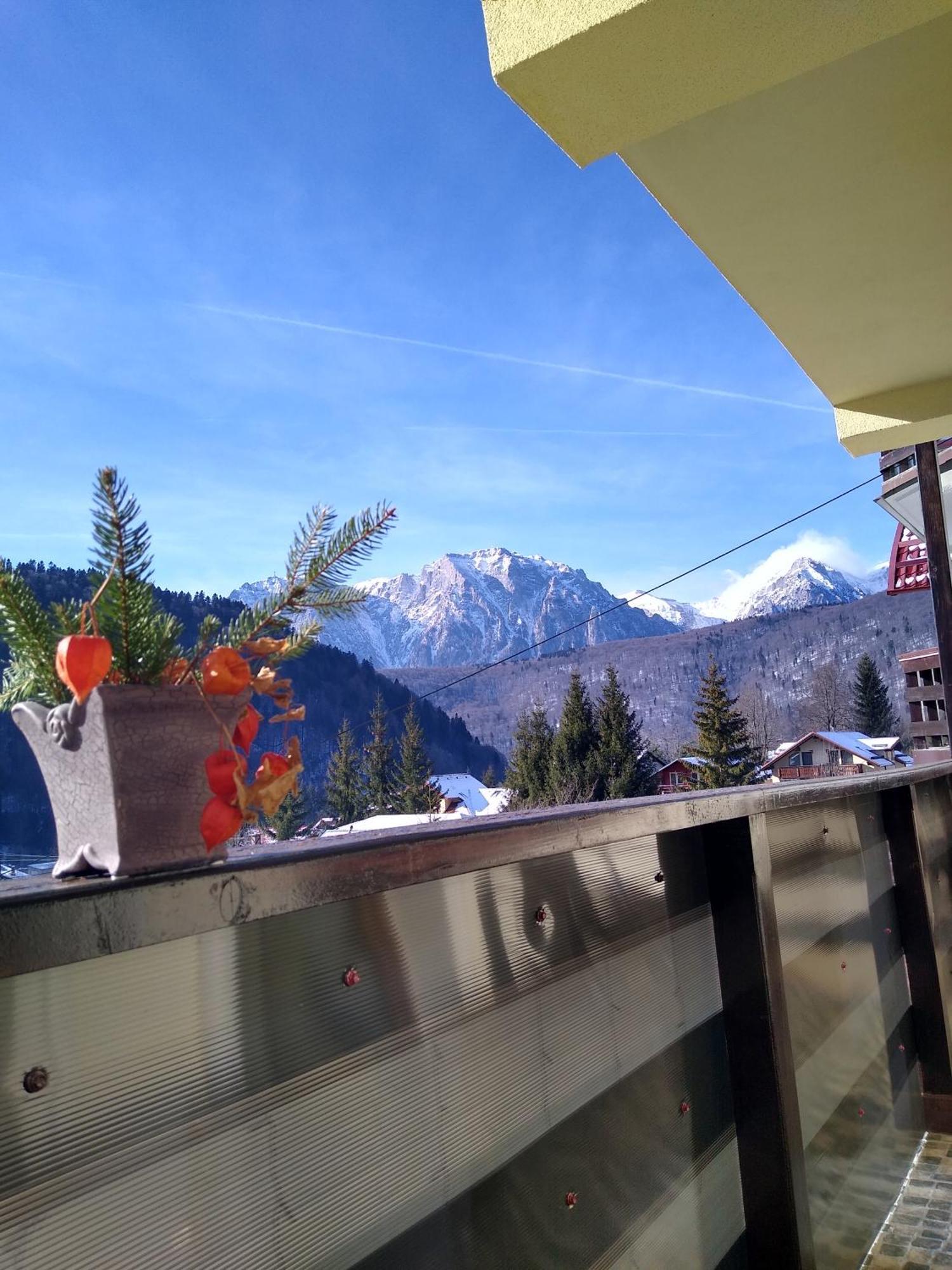 Skyline Villa Azuga Kültér fotó